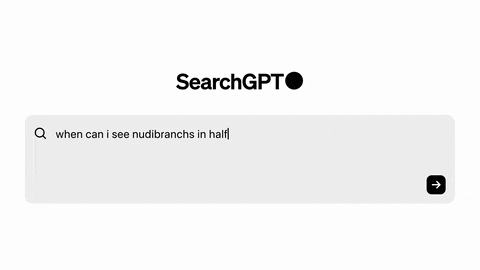 An early preview of SearchGPT.