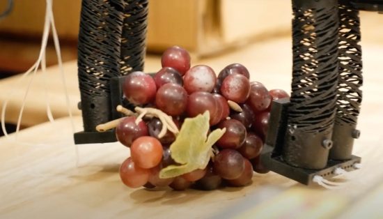 Robotic hand grabbing a bunch of grapes, latest in tech news.