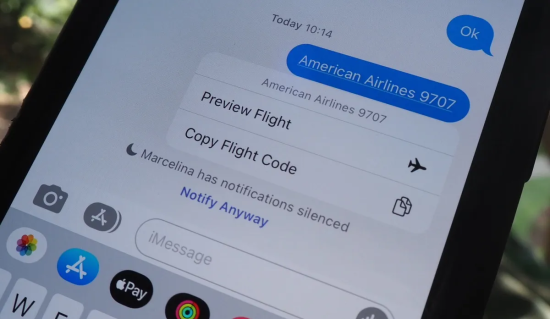 Flight information text in iMessage conversation.